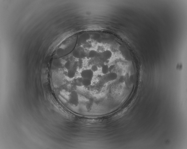 X0000114541401200911091122