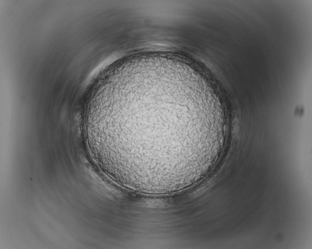 X0000114541402200911091122