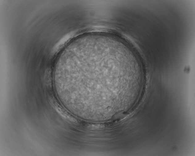 X0000114541403200911091122