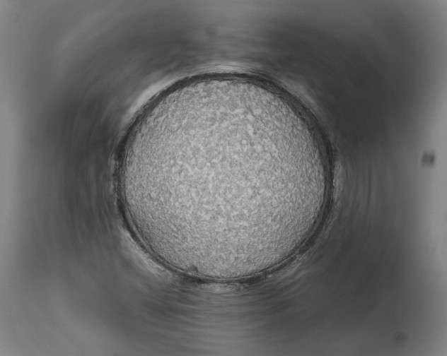 X0000114541404200911091122