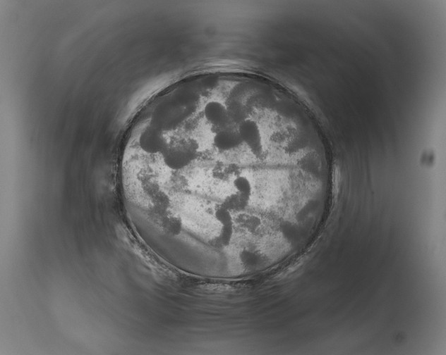 X0000114541405200911091122