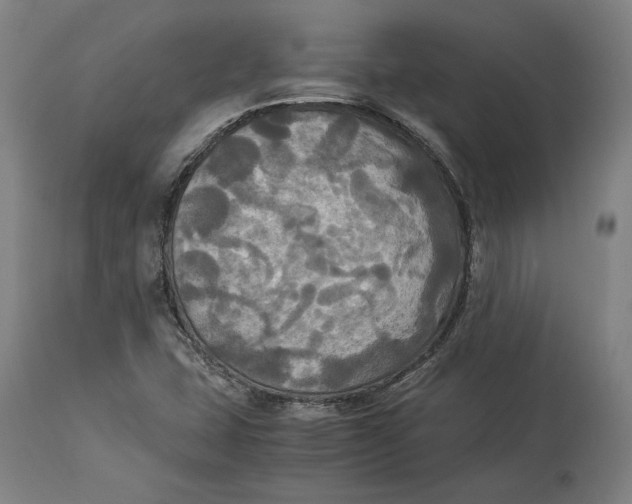 X0000114541407200911091122