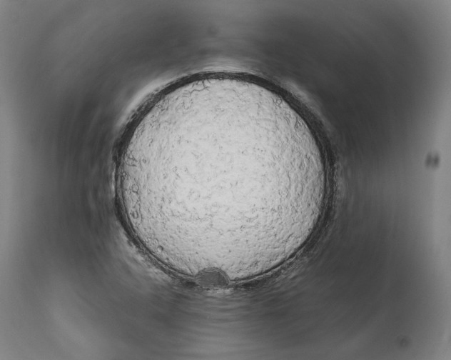 X0000114541408200911091122