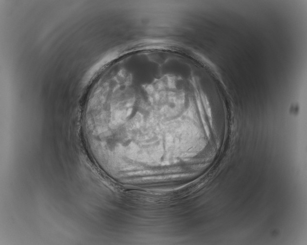 X0000114541411200911091122