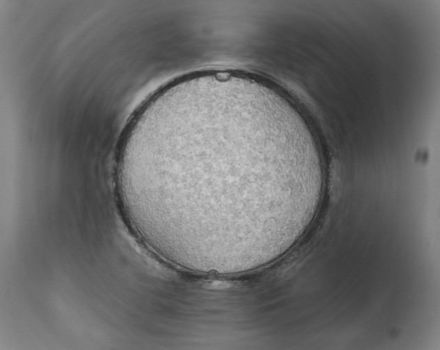 X0000114541412200911091122