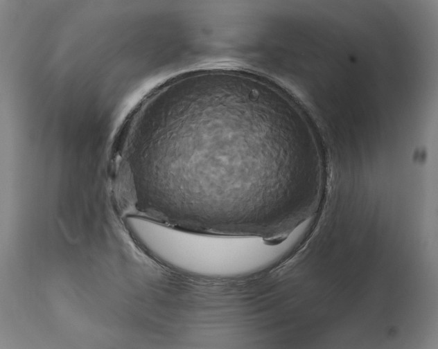 X0000114541414200911091122