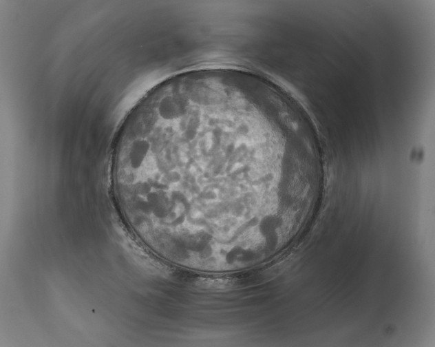 X0000114541415200911091122