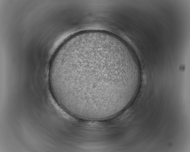 X0000114541416200911091122