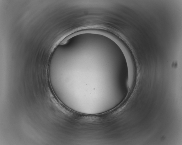 X0000114541417200911091122