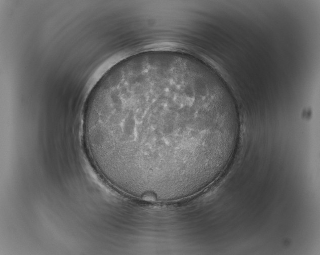 X0000114541418200911091123