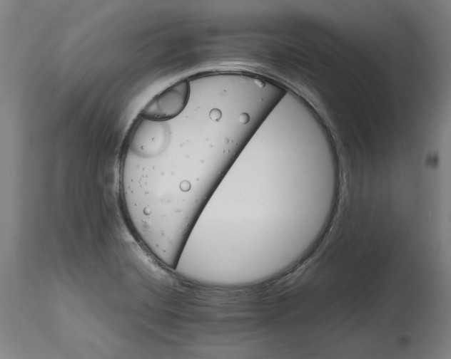 X0000114541420200911091123