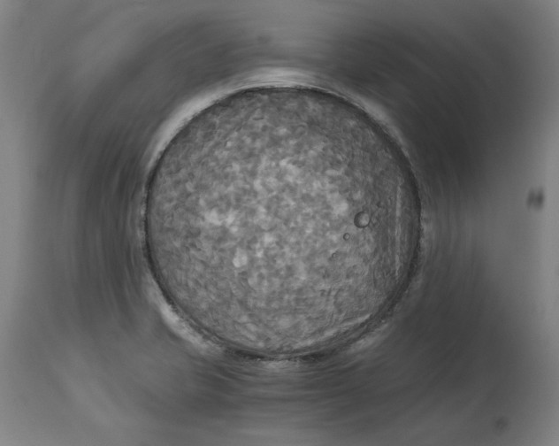 X0000114541421200911091123