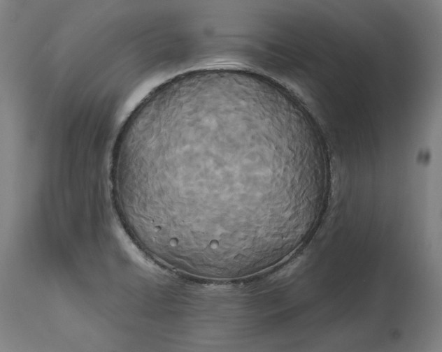 X0000114541422200911091123