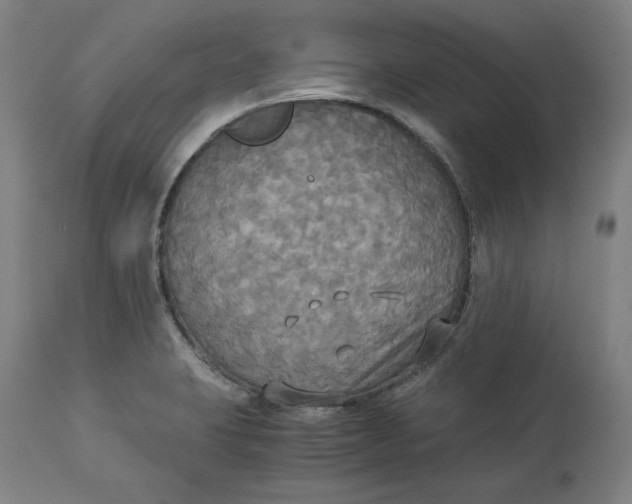 X0000114541423200911091123