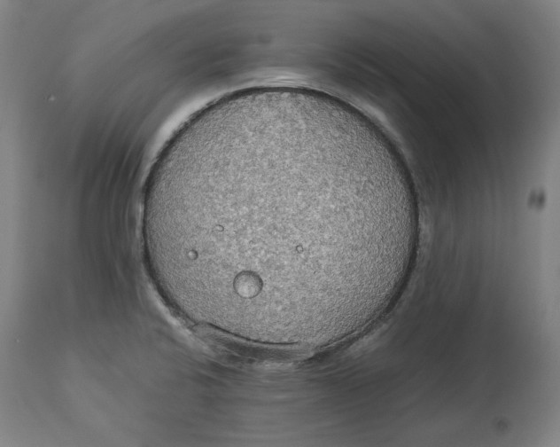 X0000114541424200911091123