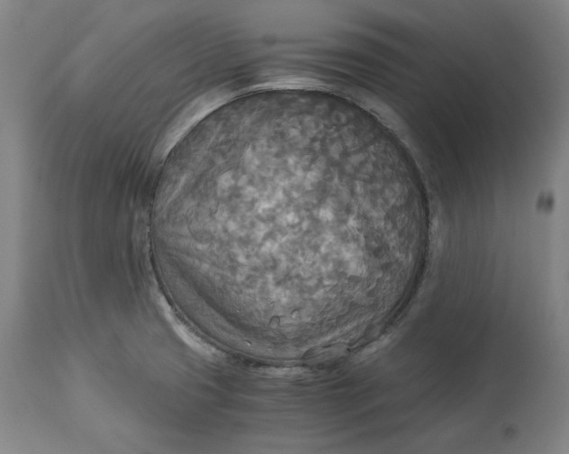 X0000114541425200911091123