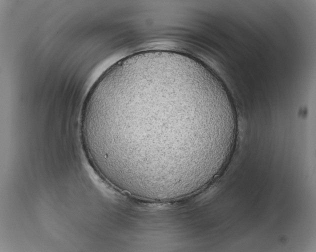 X0000114541426200911091123