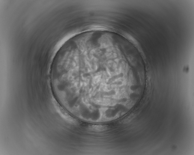 X0000114541427200911091123