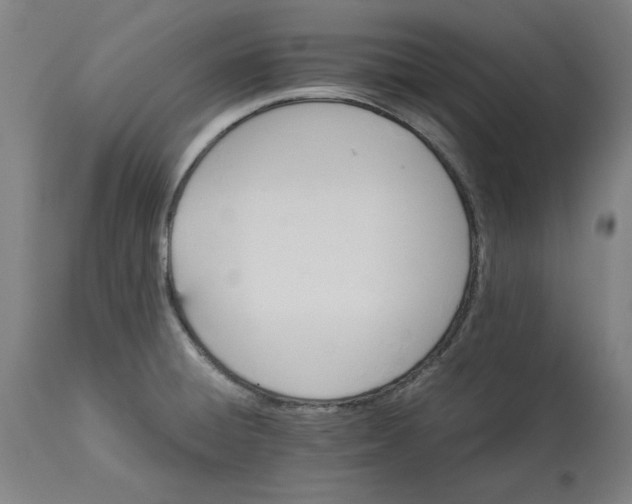 X0000114541428200911091123