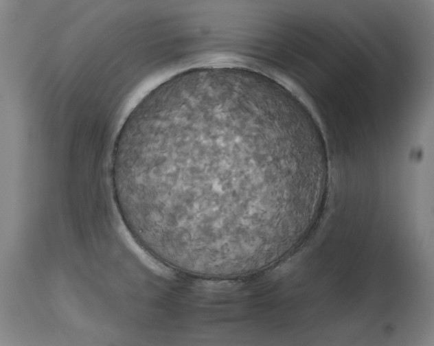 X0000114541429200911091123