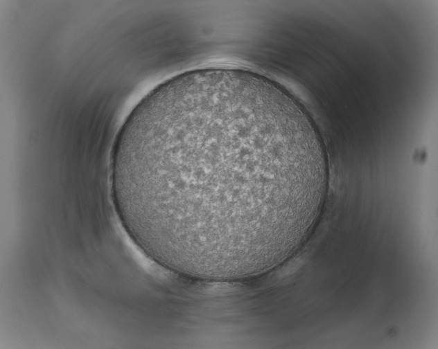 X0000114541430200911091123