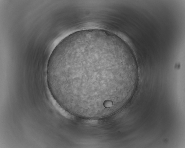 X0000114541431200911091123