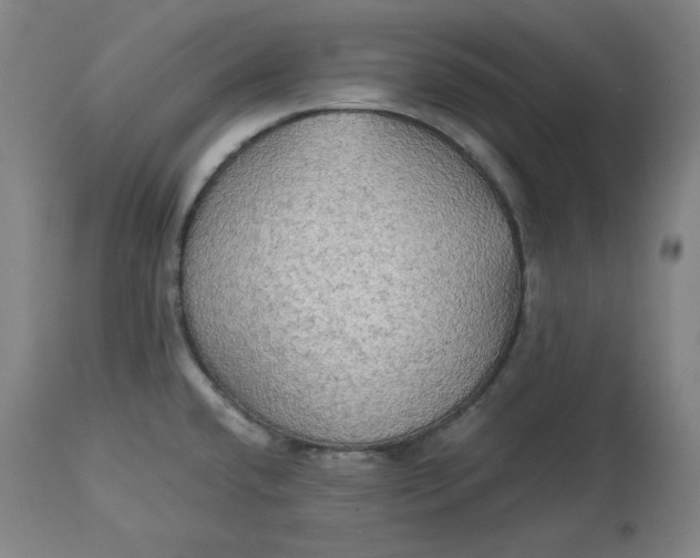 X0000114541432200911091123