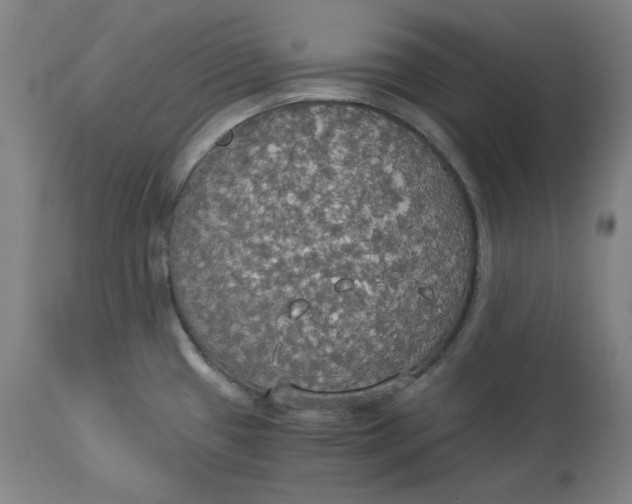 X0000114541433200911091123