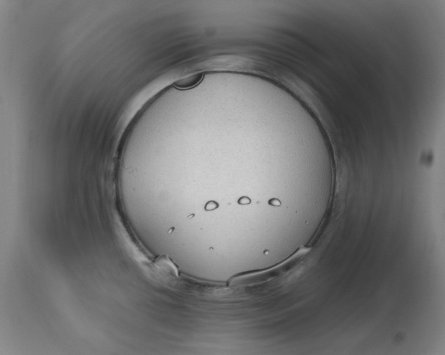 X0000114541434200911091123