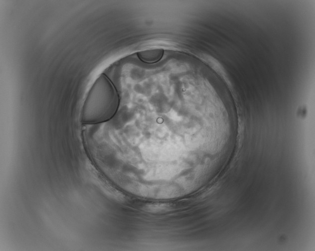 X0000114541435200911091123