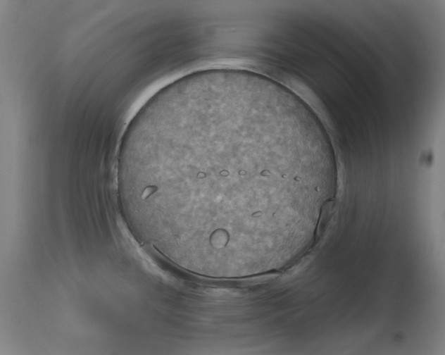 X0000114541436200911091123