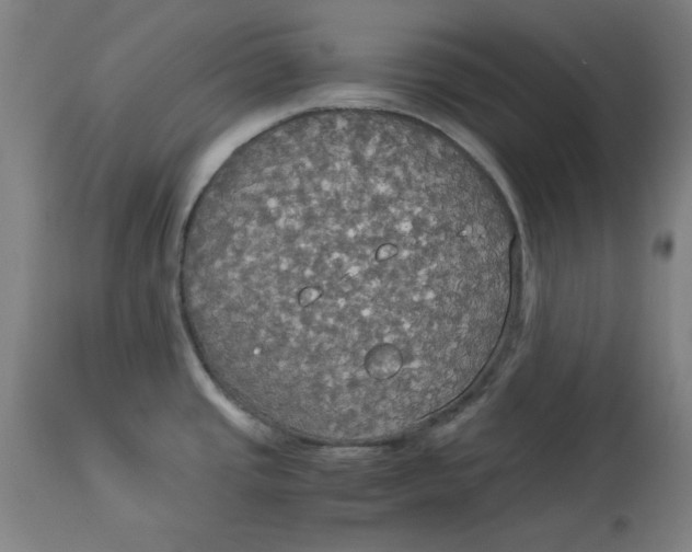 X0000114541437200911091123