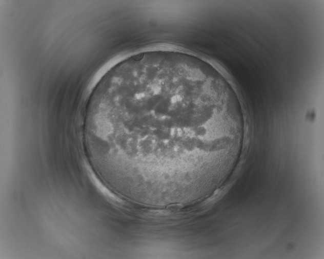 X0000114541438200911091123