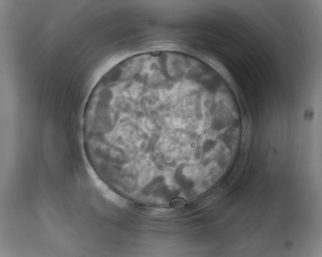 X0000114541439200911091123