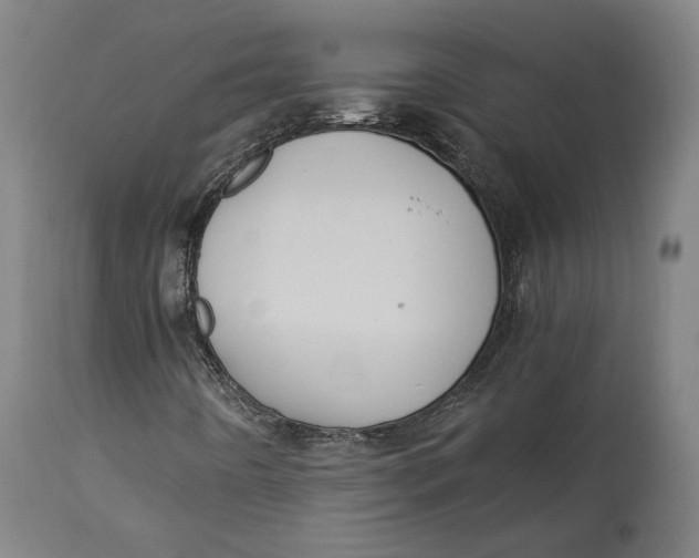 X0000114541442200911091122