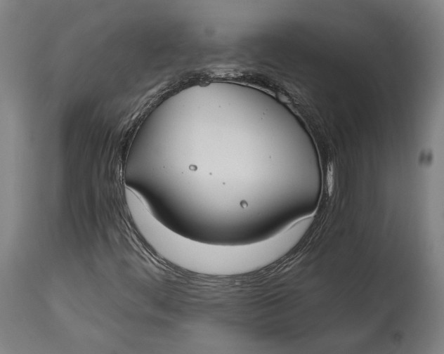 X0000114541444200911091122