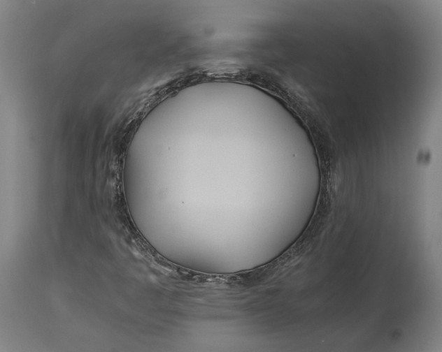 X0000114541445200911091122