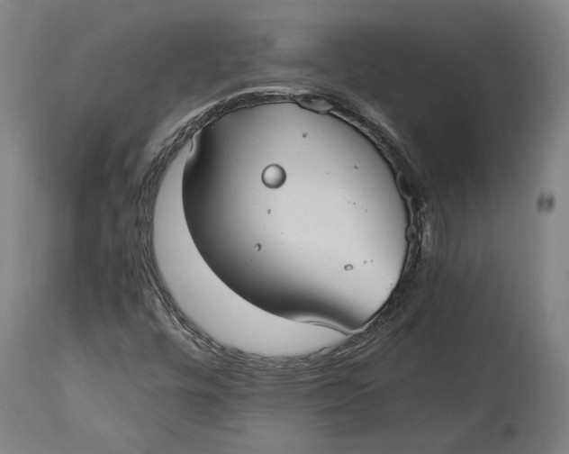 X0000114541448200911091122