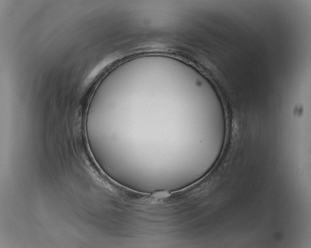 X0000114541450200911091122