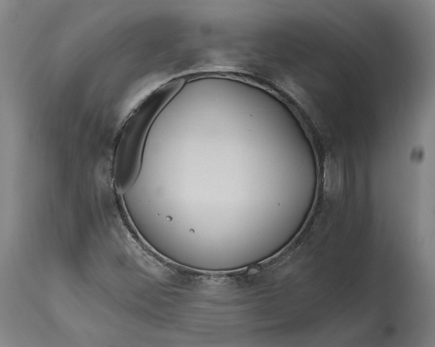 X0000114541452200911091122