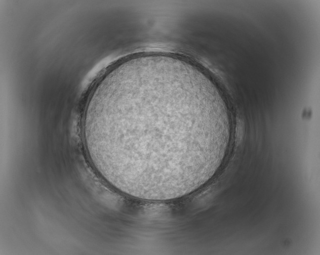 X0000114541454200911091122