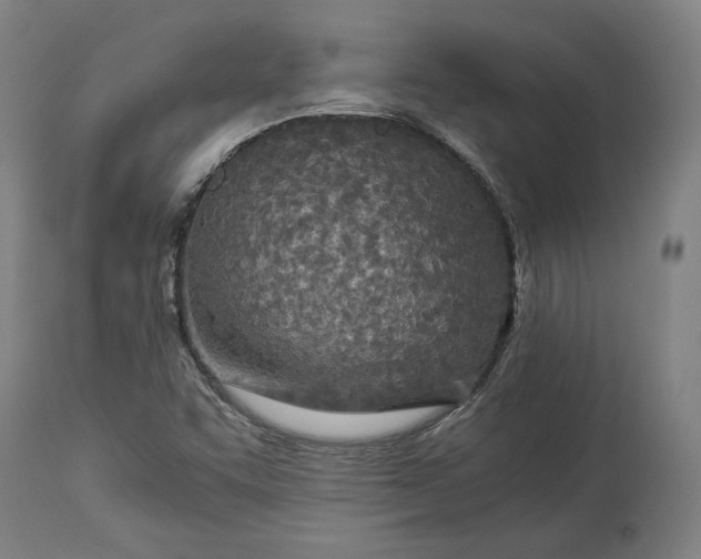 X0000114541455200911091122