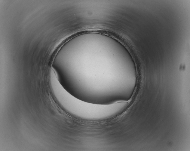 X0000114541457200911091122