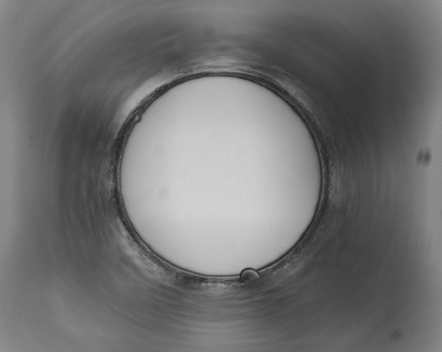 X0000114541458200911091122