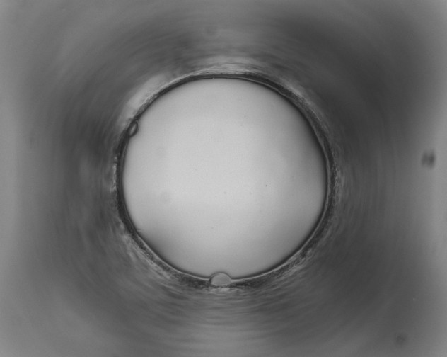 X0000114541459200911091122