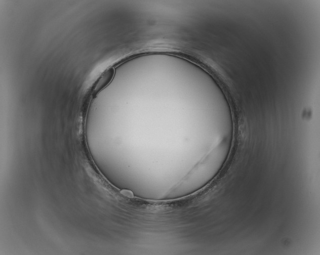 X0000114541461200911091122