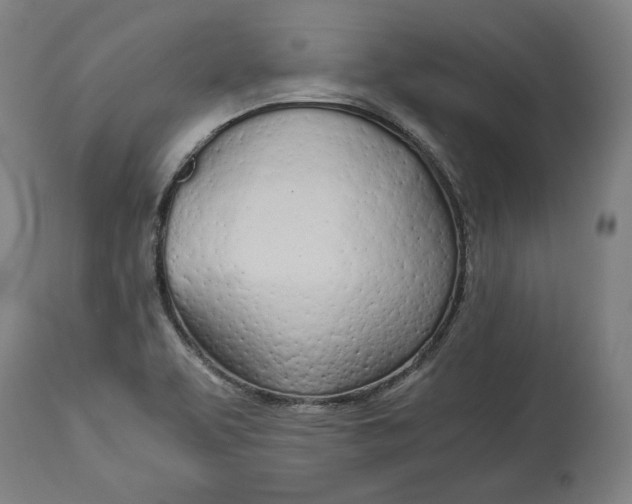 X0000114541463200911091122