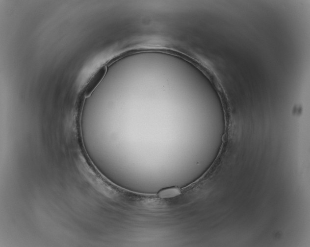 X0000114541464200911091122