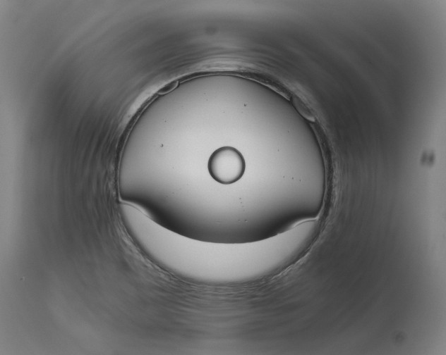 X0000114541465200911091122