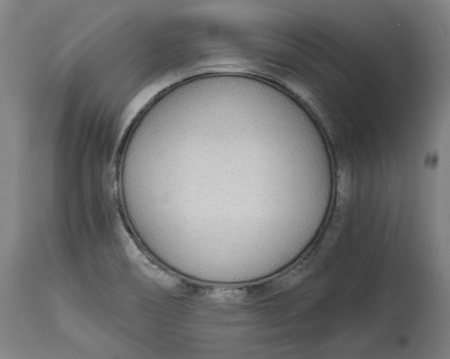 X0000114541466200911091122